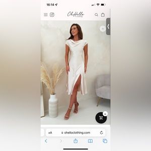 Champagne Midi dress (lg) from Oh Hello never worn!